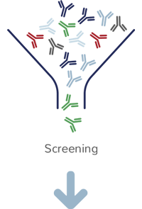 Screening