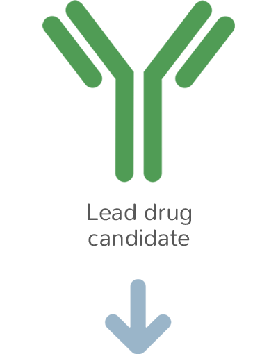 Lead Candidate Selection