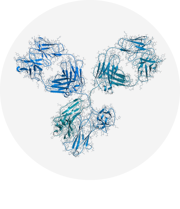 invetx antibody transparent circle v2
